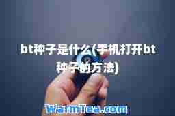 bt种子是什么(手机打开bt种子的方法)