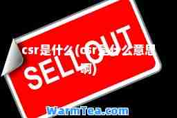 csr是什么(csr是什么意思啊)