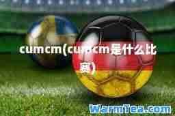 cumcm(cumcm是什么比赛)
