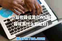 dns服务器设置(DNS服务器设置什么地址好)
