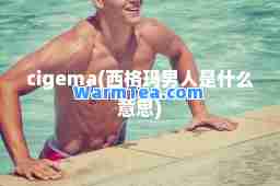 cigema(西格玛男人是什么意思)