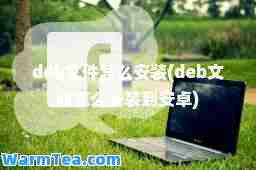 deb文件怎么安装(deb文件怎么安装到安卓)