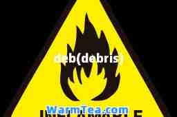 deb(debris)