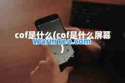 cof是什么(cof是什么屏幕)