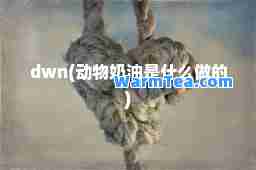 dwn(动物奶油是什么做的)