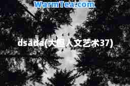 dsada(大但人文艺术37)