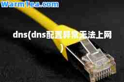 dns(dns配置异常无法上网)
