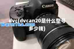 dvc(dvcan20是什么型号多少钱)