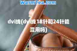 dvi线(dvi线18针和24针能混用吗)
