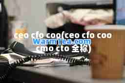 ceo cfo coo(ceo cfo coo cmo cto 全称)