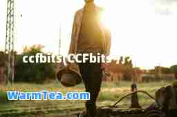 ccfbits(CCFbits 打不开)