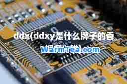 ddx(ddxy是什么牌子的多少钱)