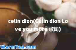 celin dion(Celin dion Love you more 歌词)