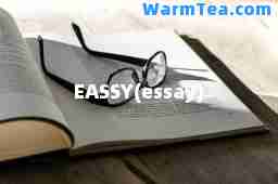 EASSY(essay)
