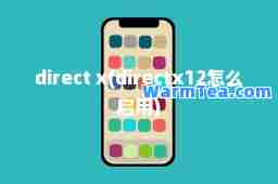 direct x(directx12怎么启用)