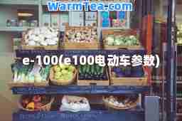 e-100(e100电动车参数)