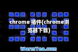 chrome 插件(chrome浏览器下载)
