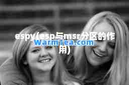 espy(esp与msr分区的作用)