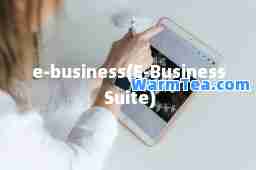 e-business(E-Business Suite)