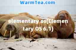 elementary os(Elementary OS 6.1)