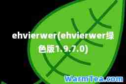 ehvierwer(ehvierwer绿色版1.9.7.0)