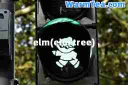 elm(elm tree)