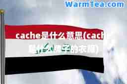 cache是什么意思(cache是什么牌子的衣服)
