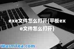 exe文件怎么打开(平板exe文件怎么打开)