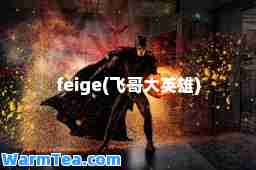 feige(飞哥大英雄)