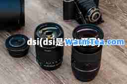 dsi(dsi是什么意思)