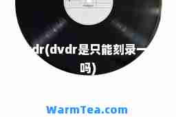 dvdr(dvdr是只能刻录一次吗)