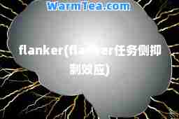 flanker(flanker任务侧抑制效应)