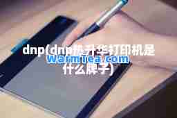 dnp(dnp热升华打印机是什么牌子)