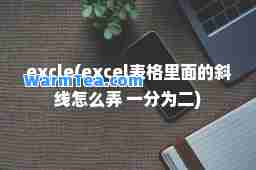 excle(excel表格里面的斜线怎么弄 一分为二)