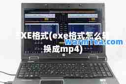 EXE格式(exe格式怎么转换成mp4)