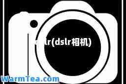 dslr(dslr相机)