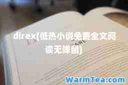 direx(低热小说免费全文阅读无弹窗)