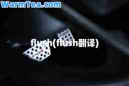 flush(flush翻译)