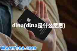 dlna(dlna是什么意思)