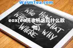 eox(eo洗衣机出现什么故障)