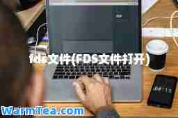 fds文件(FDS文件打开)