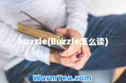 buzzle(Buzzle怎么读)