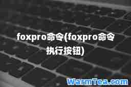 foxpro令(foxpro令执行按钮)
