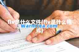 flv是什么文件(flv是什么格式)