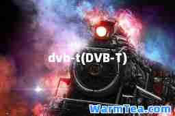 dvb-t(DVB-T)