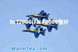 fn f2000(FN F2000图片)