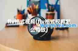 flv格式视频(flv格式视频怎么播放)