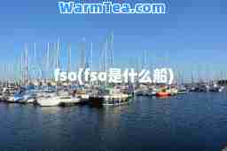 fso(fso是什么船)