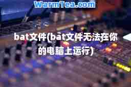 bat文件(bat文件无法在你的电脑上运行)