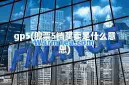 gp5(股票5档买卖是什么意思) gp5(股票5档买卖是什么意思)